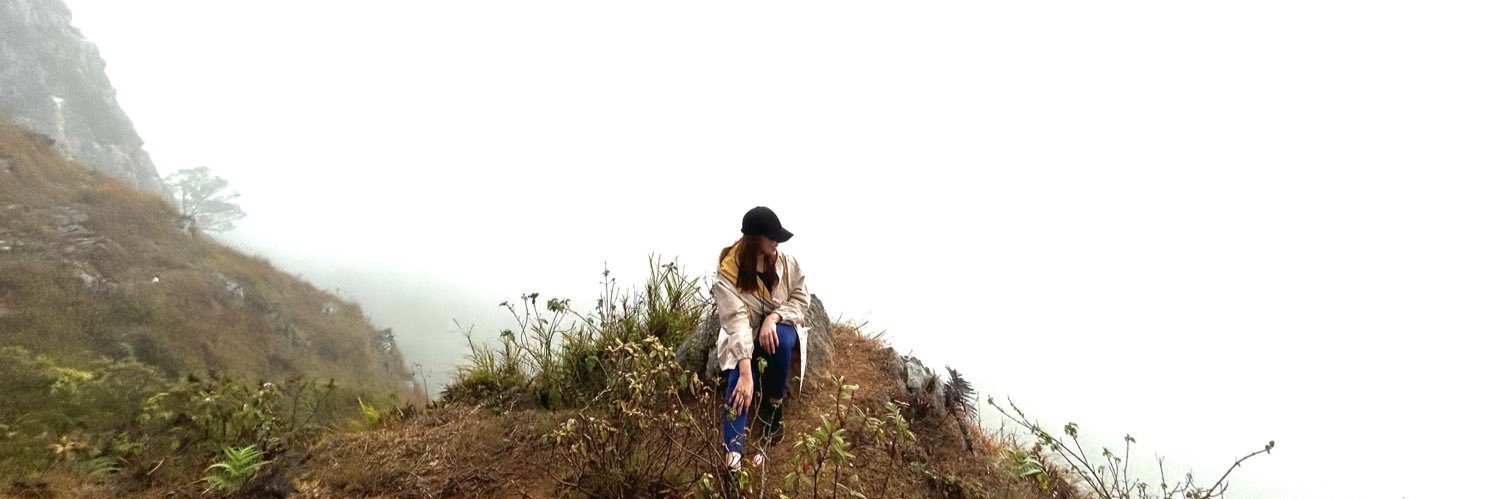 Riseroque's profile banner image