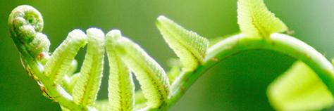 @ifrik@drupal.community banner