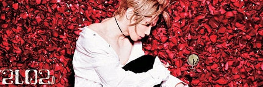 yoa_fgo's profile banner image