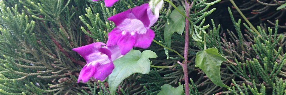 ネクタイのおじさん banner