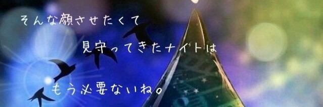 chellqq's profile banner image