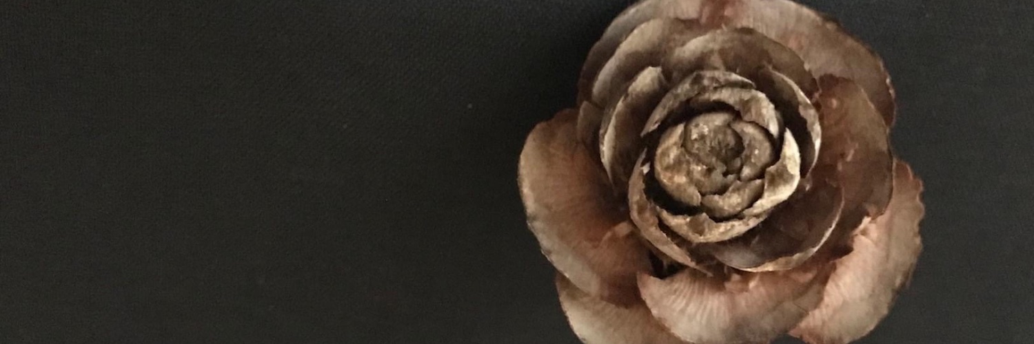 LivethePictures's profile banner image