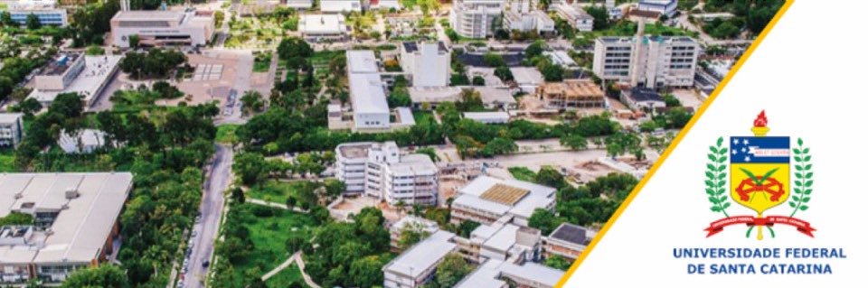 Cíntia Soares banner