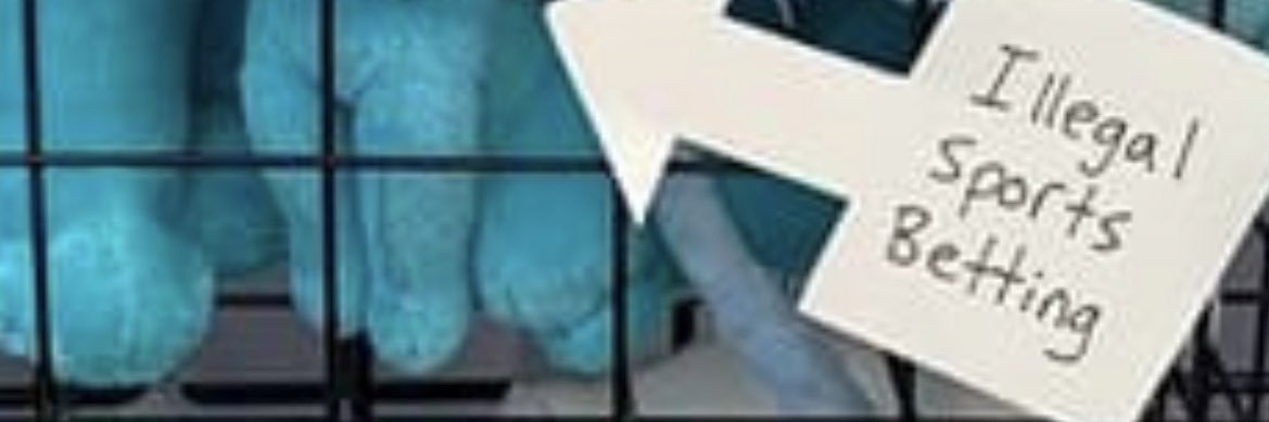alejandroperc's profile banner image