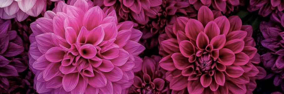 _Cortneyyy_'s profile banner image