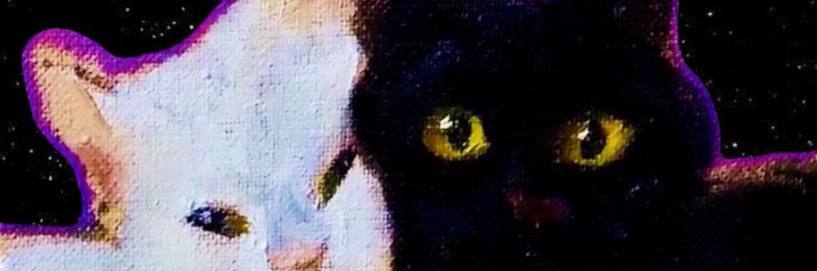 siraze__'s profile banner image