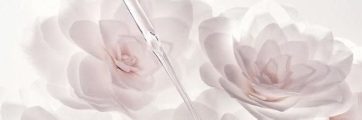 Nо́ra 𝜗𝜚 banner