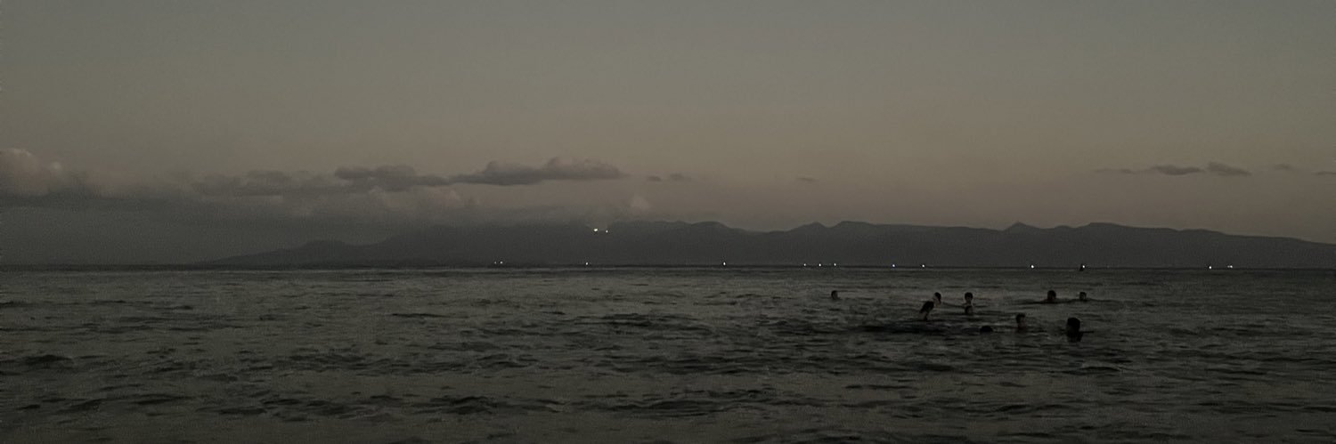 fickletears's profile banner image