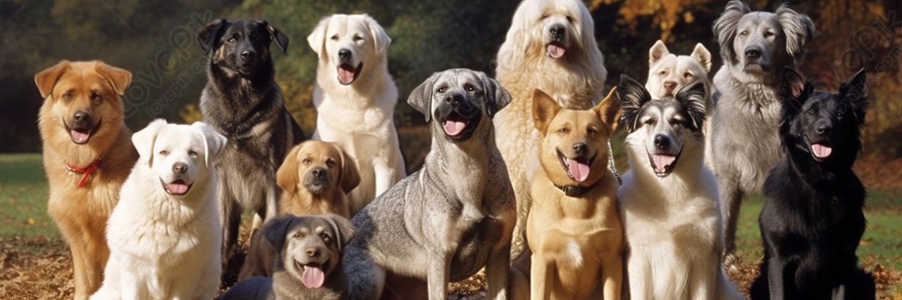 Marcus Kevin🦅 banner