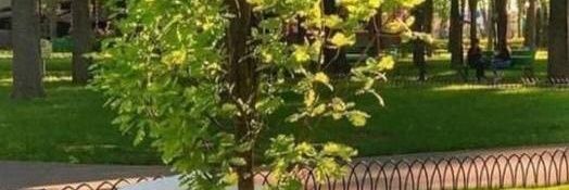 JMInvest2's profile banner image