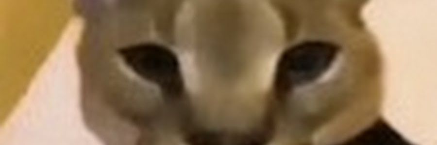 scoffsol's profile banner image