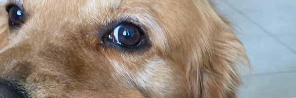 AjeetK Profile Banner