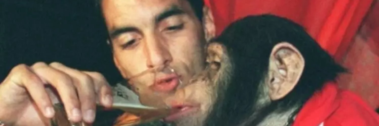 gabrieelbt's profile banner image