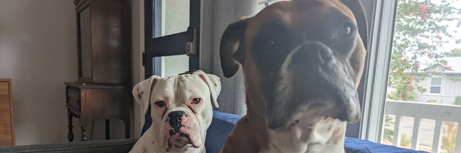 JDWinCA's profile banner image