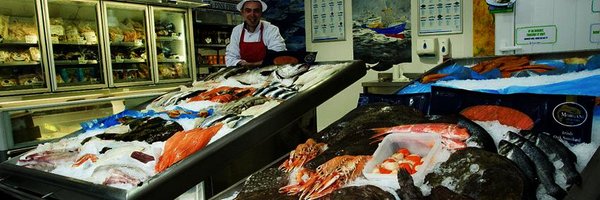 MorgansFineFish Profile Banner