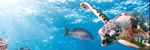 watermole6 Profile Banner