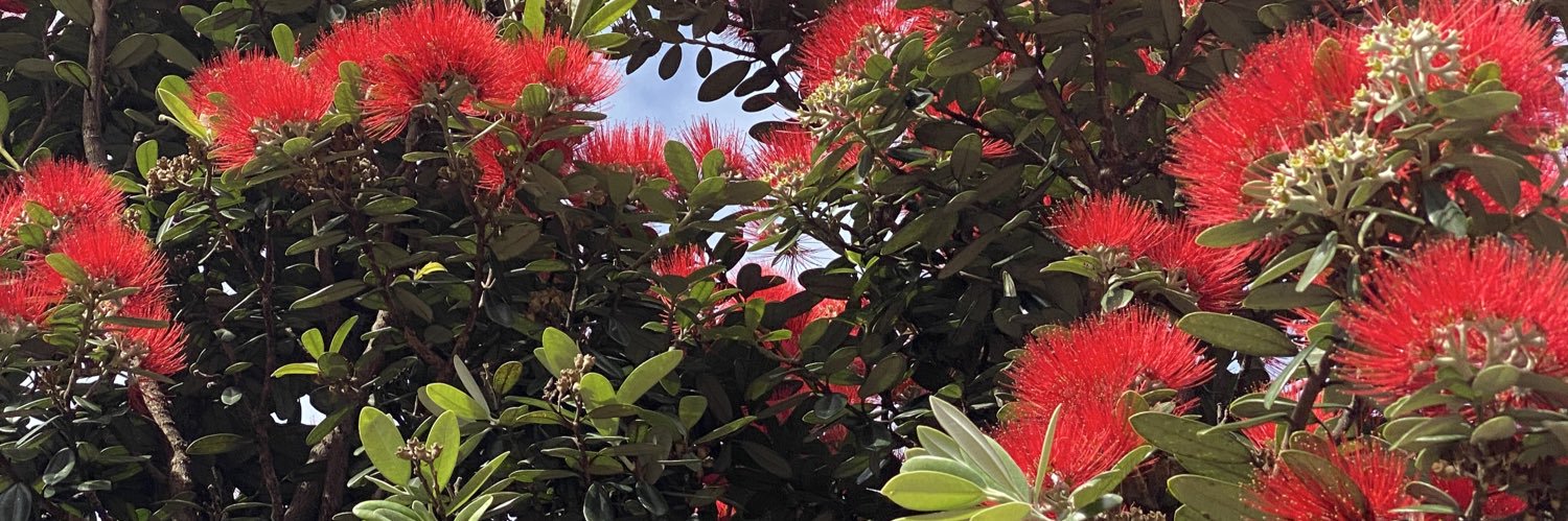 mariecfeldman's profile banner image