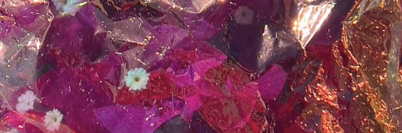 Dare Williams banner