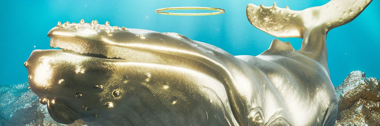 Sol Aquariums Sales Bot banner