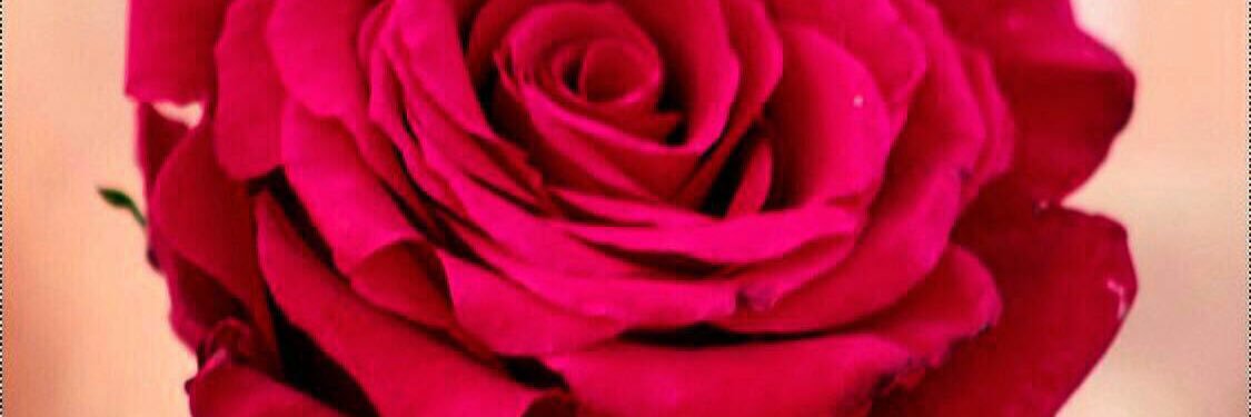 saharf_'s profile banner image