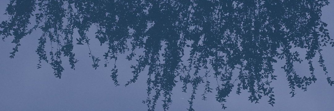 Kun_microphone's profile banner image