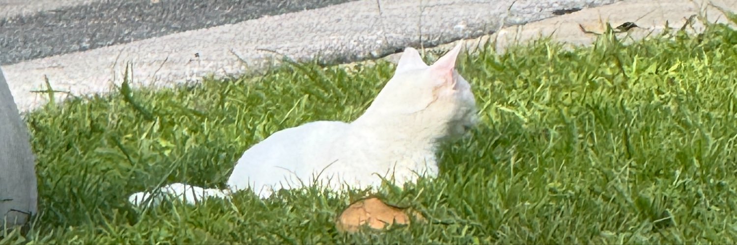 katdog32's profile banner image