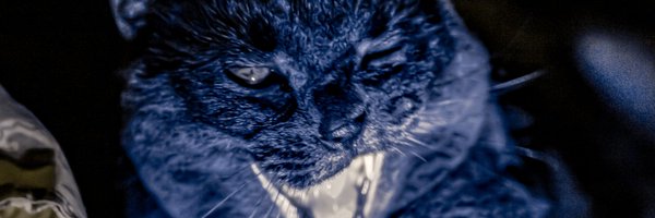 Syll_Defi Profile Banner