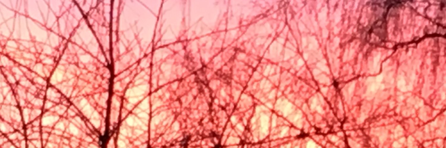 Tiinnocaa banner