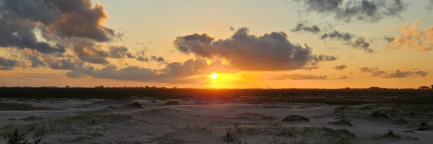 Pedro Henrique banner