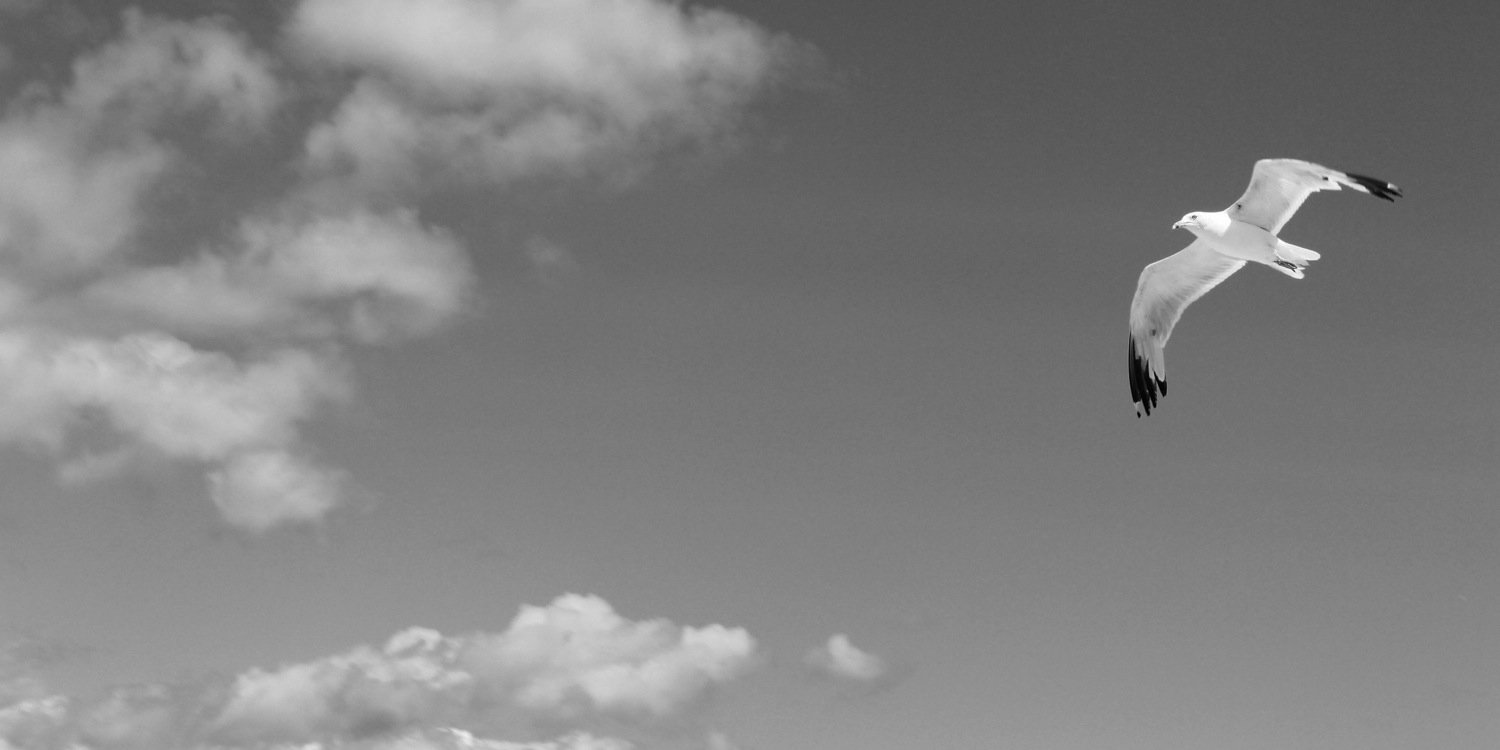 chamilaharindi's profile banner image