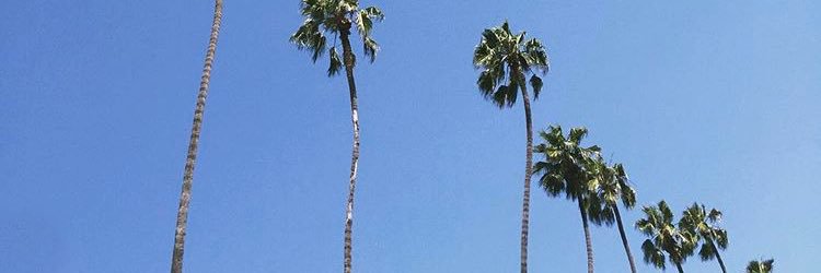 RealDominiqueJ's profile banner image