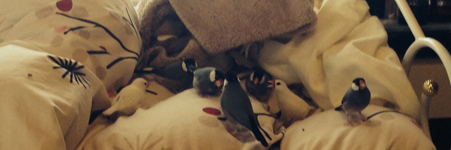 doodeedumdum's profile banner image
