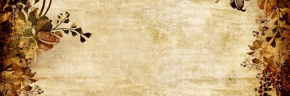 Sandradiosa's profile banner image
