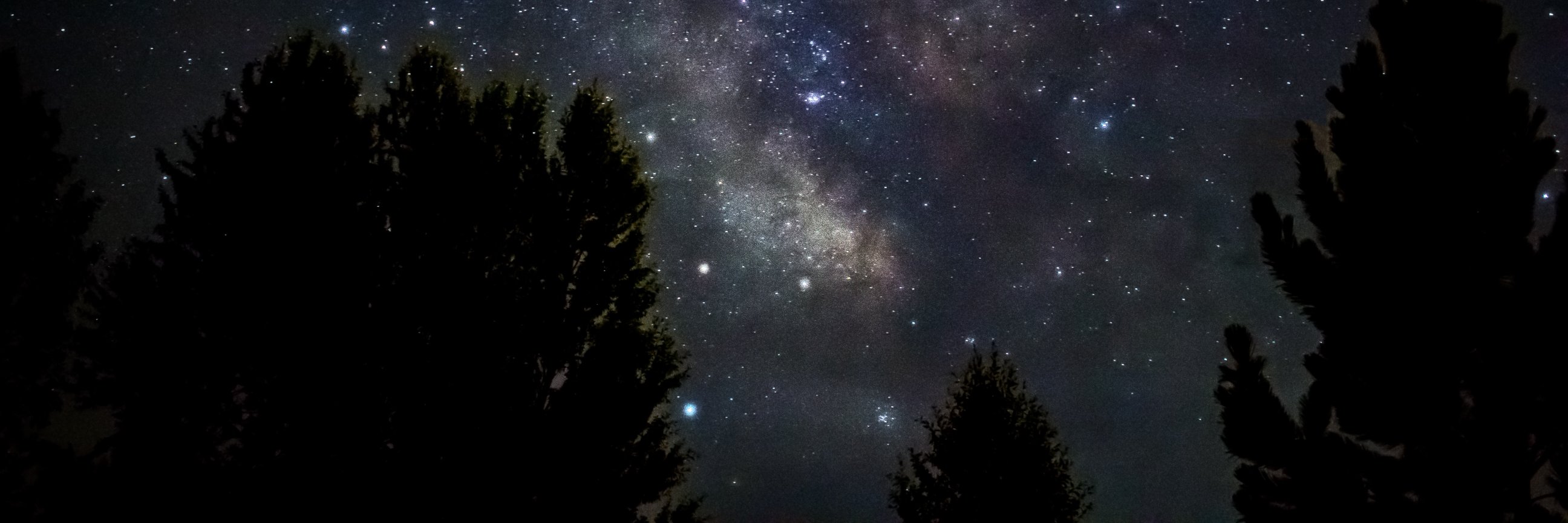 MarkScholl's profile banner image