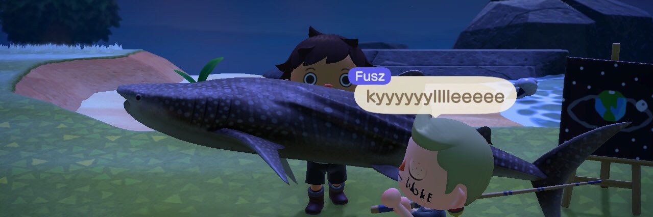 Kyle McCann banner