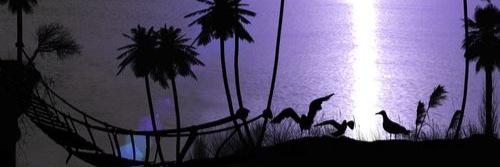 tflora45's profile banner image
