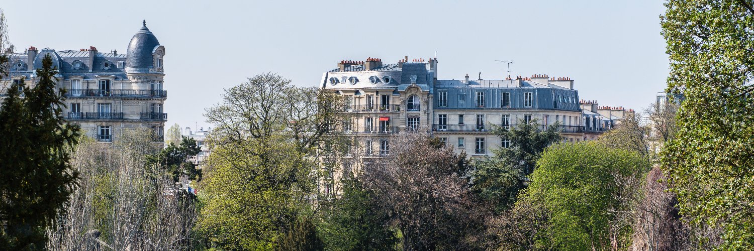François Dagnaud's banner