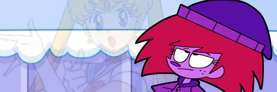 fly banner
