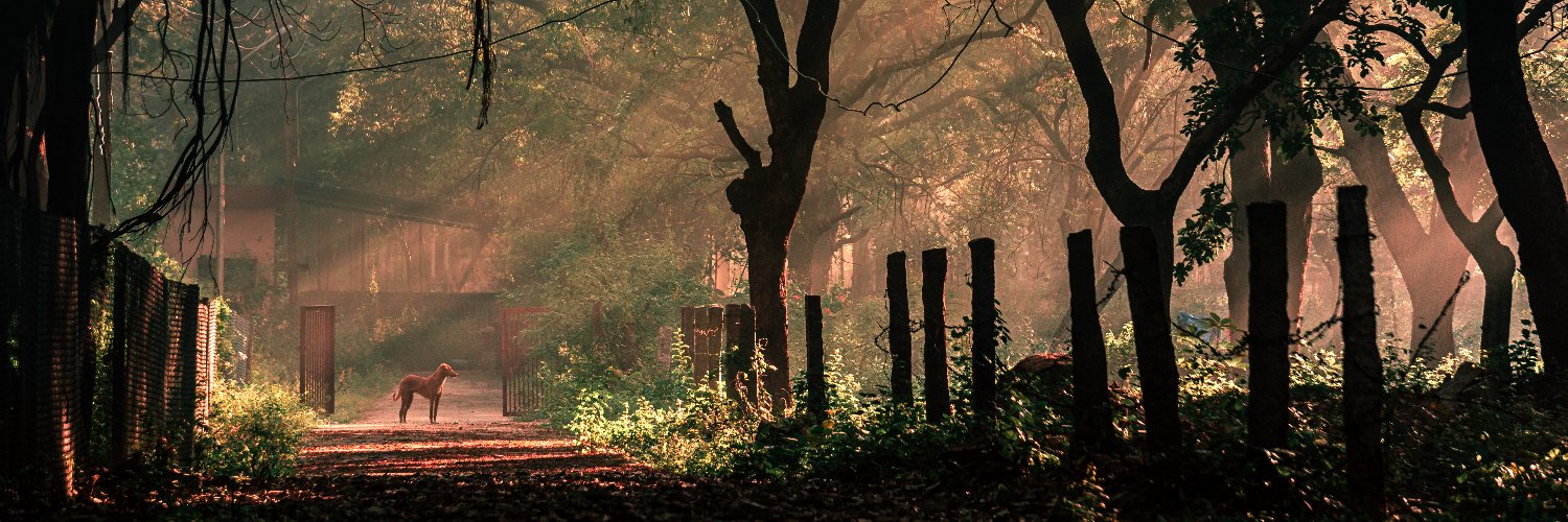 ritheesh sagar banner