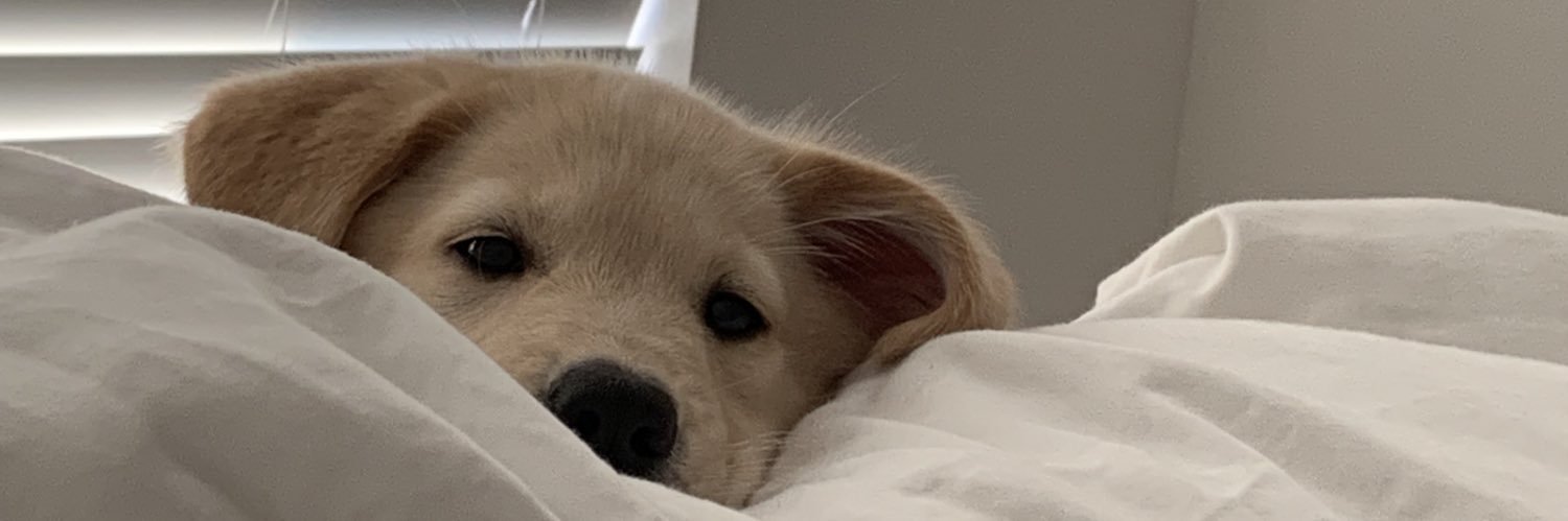 marinabliss's profile banner image