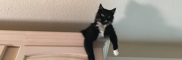 IsraeliMinx Profile Banner