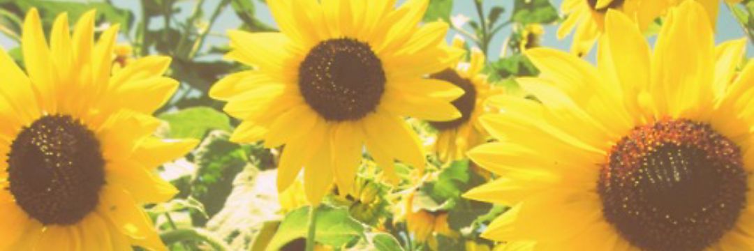 Itsjustbrookee's profile banner image
