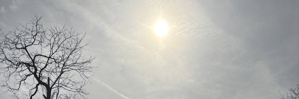 mfpiper Profile Banner