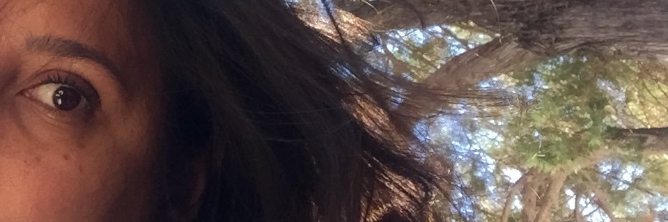 carlitagarza's profile banner image