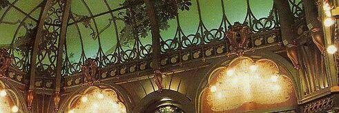 natimporta's profile banner image