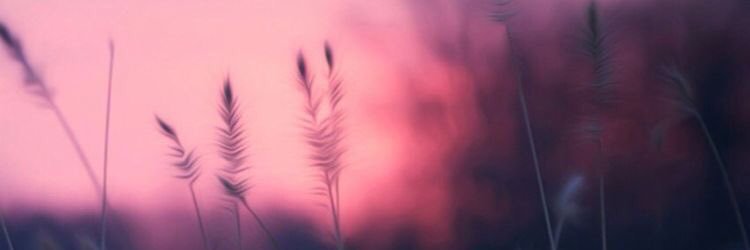hneeen21's profile banner image