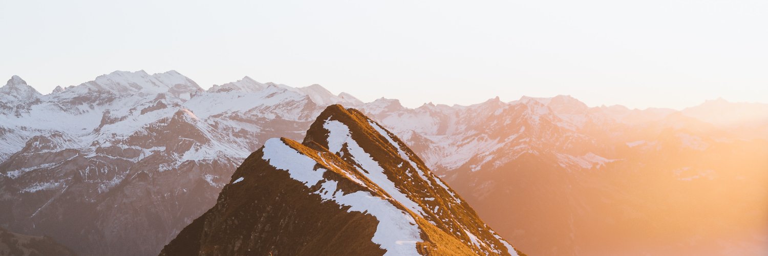 Dmitry Bestuzhev banner