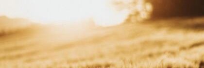 GabyWeiss2's profile banner image