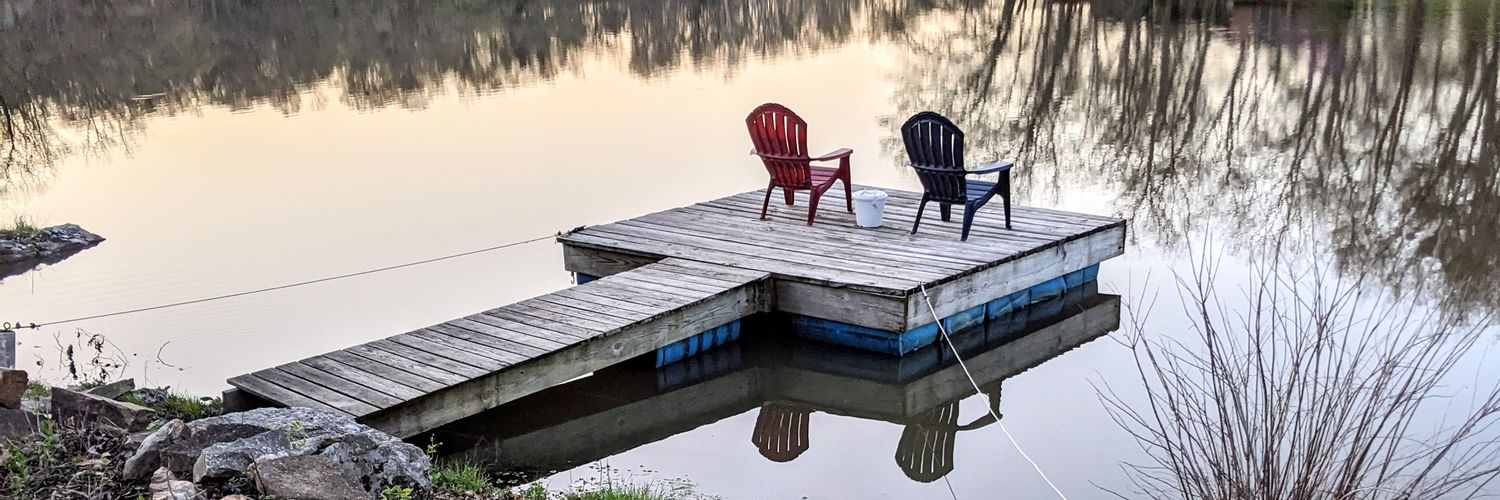 Steve McCrann banner