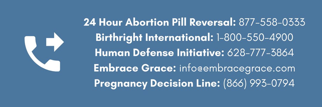 Pro-life fanatic 🇻🇦✝️ banner